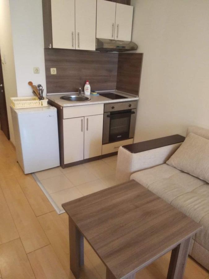 Nessebur, South Beach, Private Studio, Larisa 内塞伯尔 外观 照片